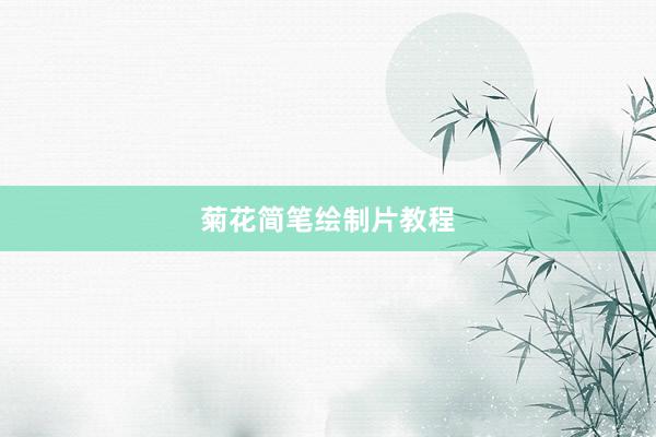 菊花简笔绘制片教程