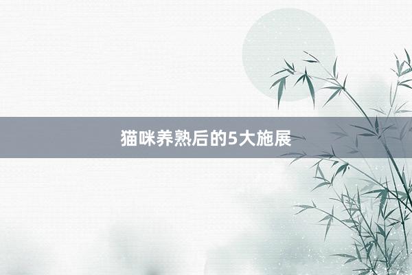 猫咪养熟后的5大施展