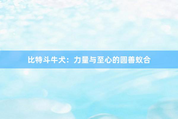 比特斗牛犬：力量与至心的圆善蚁合