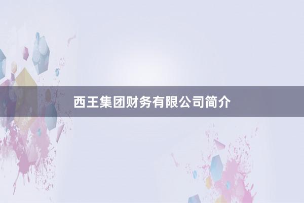 西王集团财务有限公司简介